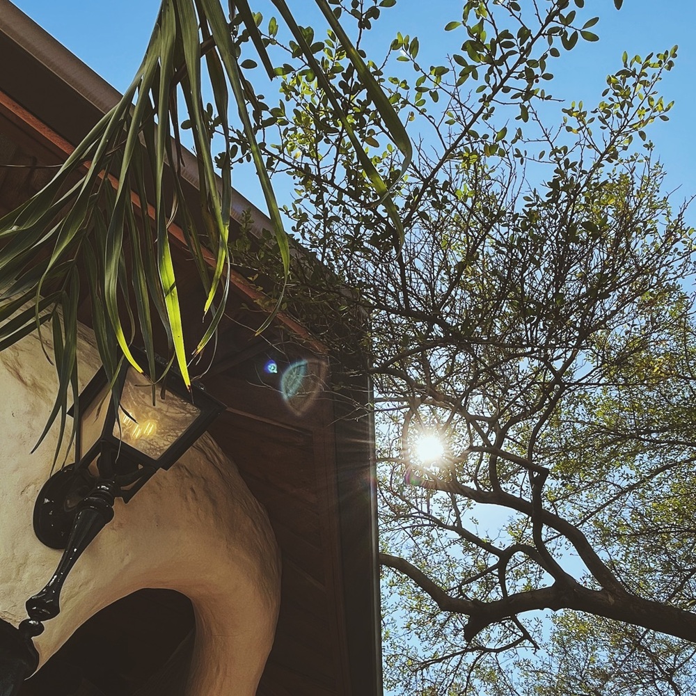 Meet your Posher, Kaitlin